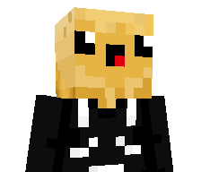 FlamP_'s skin