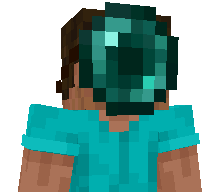 neverpaytax_finn's skin