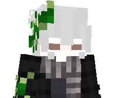 webkey's skin