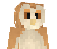 BeBeOwl's skin