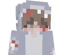 RobbeSurft's skin