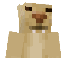 JJWOOOOOO's skin
