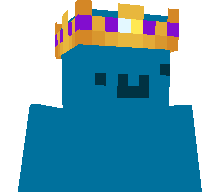 Vetementsveteran's skin