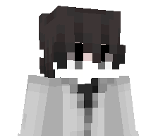 netspendera's skin