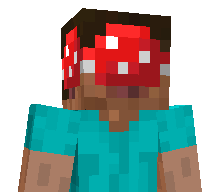 Grzybobranie's skin