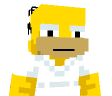 lnvisible_star's skin