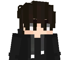 LitFishQAQ's skin