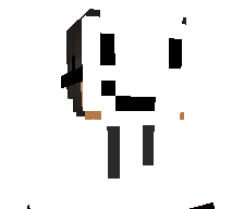 PanPanda47_'s skin
