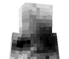 Tozeyy's skin