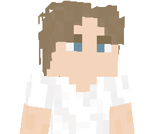 washl1's skin