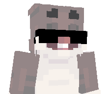 NikoDoesCombo's skin