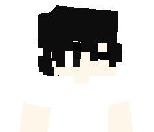 atelieer's skin