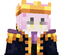 enderplayer11's skin