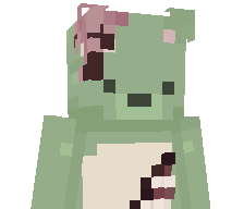 Erklaerbear's skin