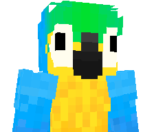 vynirs's skin