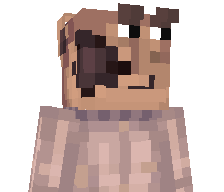 testsunsi's skin