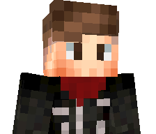 Stop21's skin