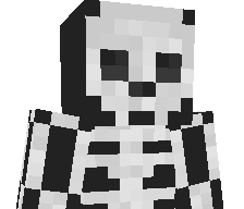 admin_123's skin