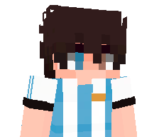 iVollk's skin