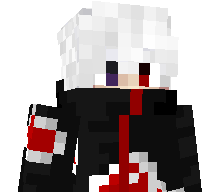 ZaysGamer's skin