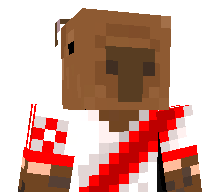 Insane_capy's skin