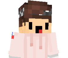 MCFenix's skin