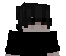 wSeiido's skin