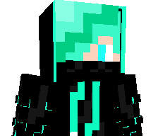Topbaviaan's skin