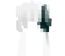 aku_in4k's skin