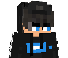 WROLSOK's skin