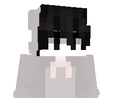 Intellct's skin