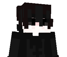 K4rol__'s skin
