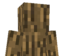 TomCmoi's skin