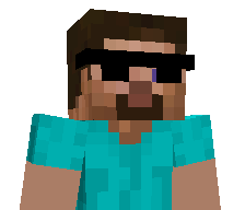 TortocraftMC's skin