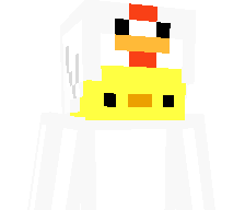 Toggl3d's skin
