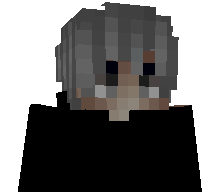 prcsx's skin