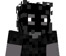pleqqyy's skin