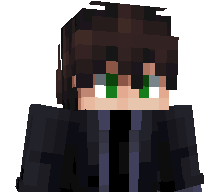 _StarLeX's skin