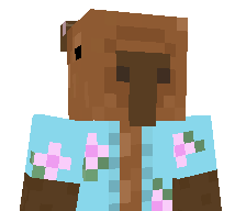 Capybits's skin