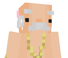2825's skin