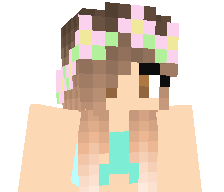 Destinationer's skin
