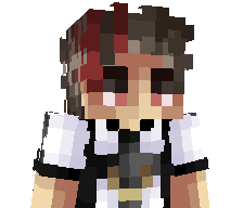 roiduterrain's skin