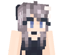 D41A's skin