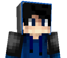 TheVoidslayer's skin