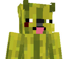 pnpi's skin