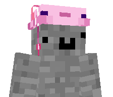 toastywolfpig's skin