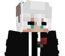 Noaita_'s skin
