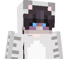 Schwarts00's skin