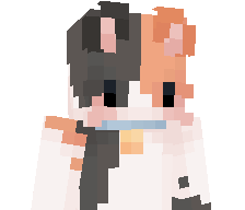 GattoAceto's skin