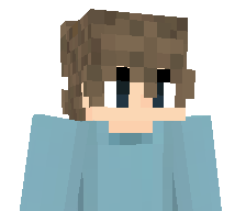 Playernotbot's skin
